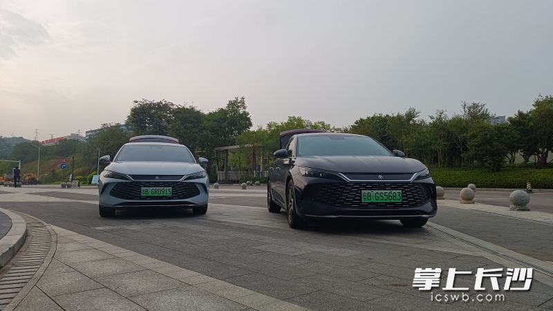 此次在长沙参与油耗实测的都是已上市的量产车。 长沙晚报全媒体记者 曹开阳 摄