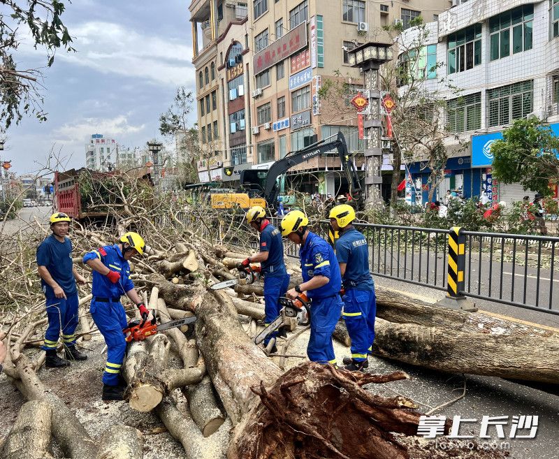 岳麓蓝天应急救援队队员在徐闻县街头清理路障。