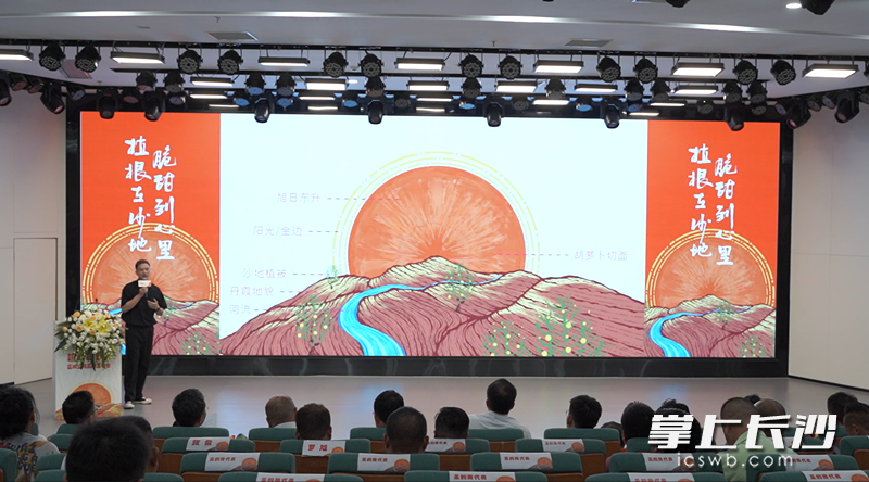 靖边胡萝卜品牌文化设计解读。