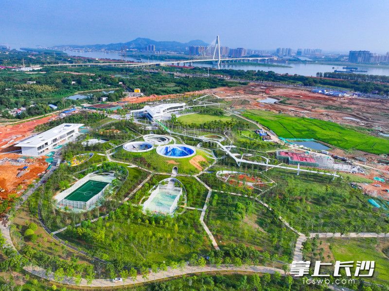 大泽湖近自然湿地公园项目分为两期建设，其中作为一期的先行启动区，以游客接待、休闲、游乐、研学等功能为主。