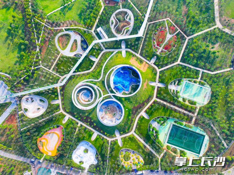 高空俯瞰大泽湖近自然湿地公园的启动区。均为长沙晚报全媒体记者 邹麟 摄