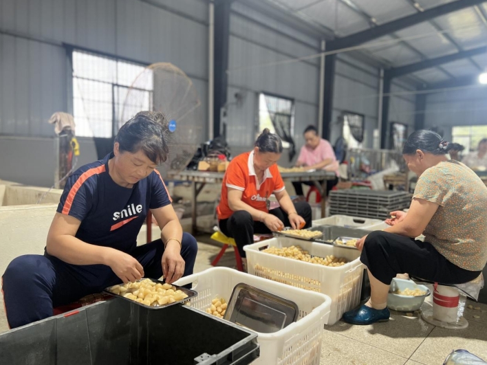 厂房里，工人们正在精选藠头。 通讯员 梁焕鑫 摄