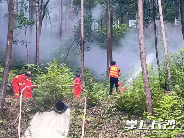 “火灾”现场扑火队员们熟练地对“火势”进行精准扑打。