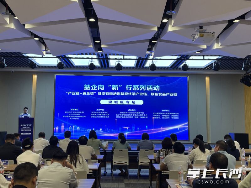 “产业链+资金链”融资有道培训智能终端产业链、绿色食品产业链望城区专场活动现场。 长沙晚报全媒体记者 朱泽寰 摄