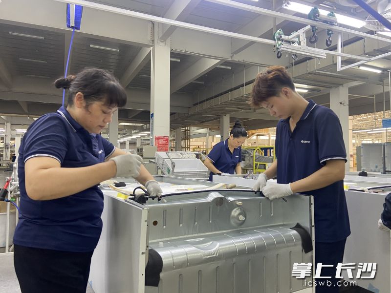 消费品以旧换新则激发了消费者的购买欲望，今年1至8月，长沙格力产值同比 9.2％。图为长沙格力冰箱生产车间。长沙晚报全媒体记者 周斌 摄