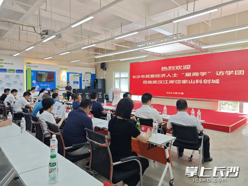 访学团成员走进武汉市岱家山科创城等企业和基地。