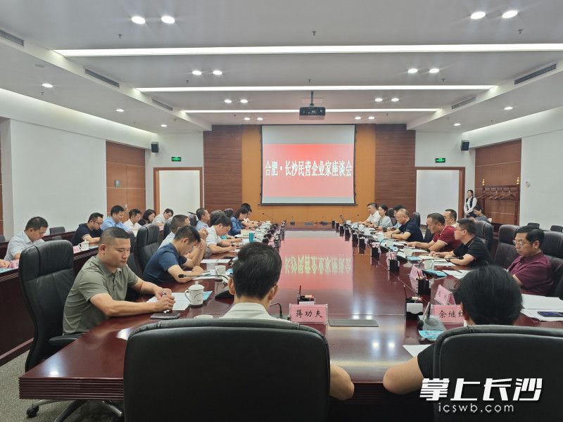 合肥·长沙民营企业家座谈会。