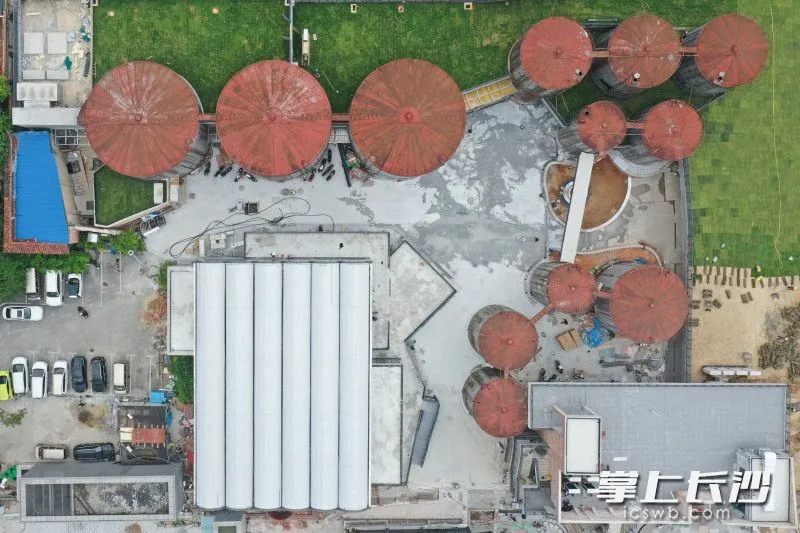 从空中俯瞰，十二个油罐的标志性红顶十分醒目。均为王志伟 摄