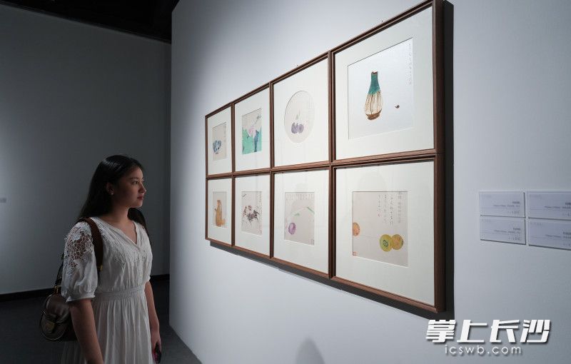9月21日，“不一定是这 不一定是那——何立伟、林乐伦作品展”在长沙美术馆开幕，市民们正在观看展览。长沙晚报全媒体记者 邹麟 摄