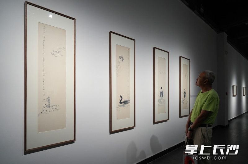 观展现场。