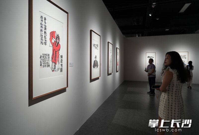 观展现场。