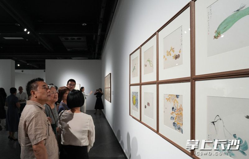 观展现场。