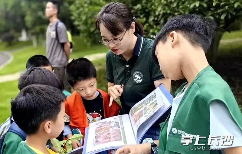 孩子们在长沙生态动物园开展“自然笔记”实践活动。均为长沙晚报全媒体记者 贺文兵 摄