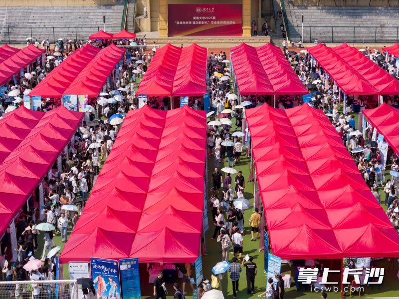 湖南大学2025届秋季毕业生供需洽谈会现场。 均为长沙晚报全媒体记者郭雨滴摄