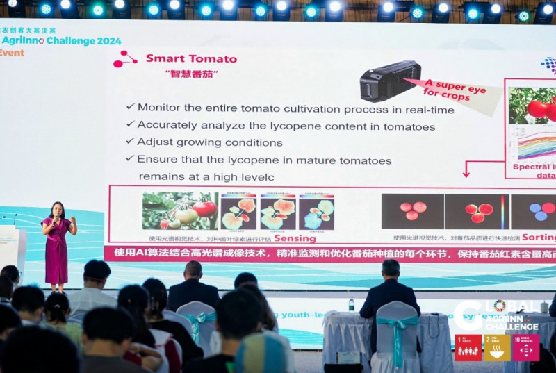 中国团队讲解“智慧番茄”项目思路。 付梵 摄 中国团队讲解“智慧番茄”项目思路。 付梵 摄