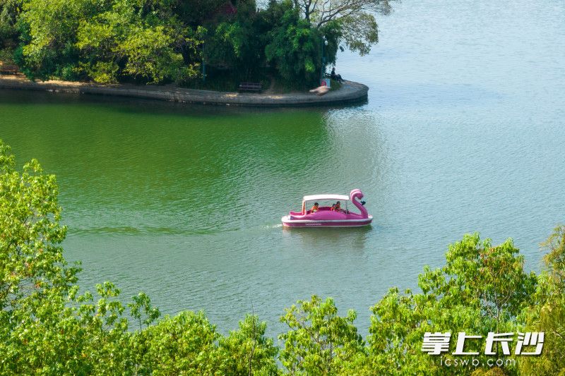 游客乘船游园，拍照打卡。