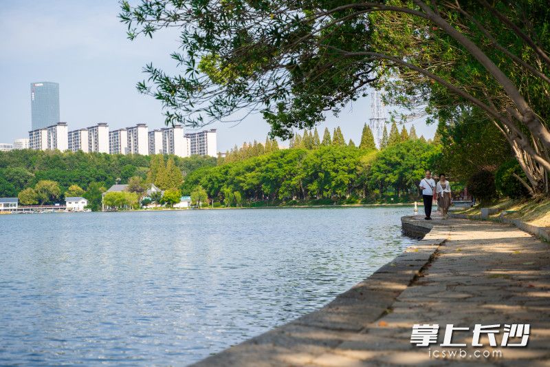 在烈士公园湖畔的步道上，市民沿道漫步，欣赏风景。