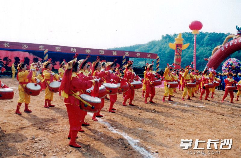 长沙生态动物园开建。景区供图