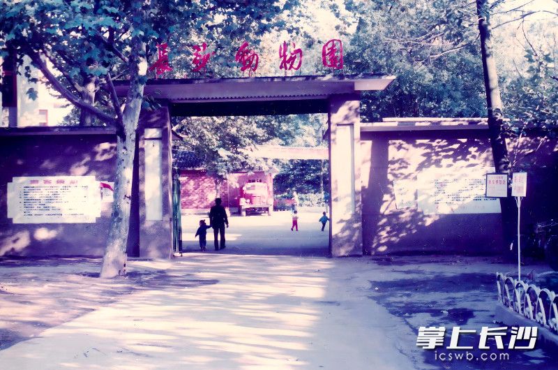 上个世纪50年代长沙动物园的门头。景区供图
