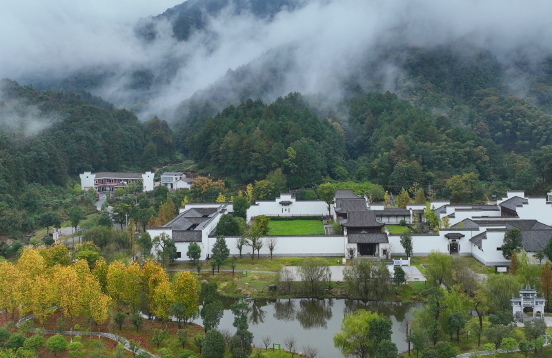 巷子口南轩文化园