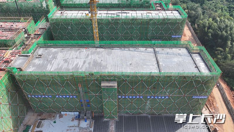 长沙市一中（湘江科学城校区）项目1#栋高中部宿舍楼完成封顶。长沙晚报通讯员 徐坤 摄