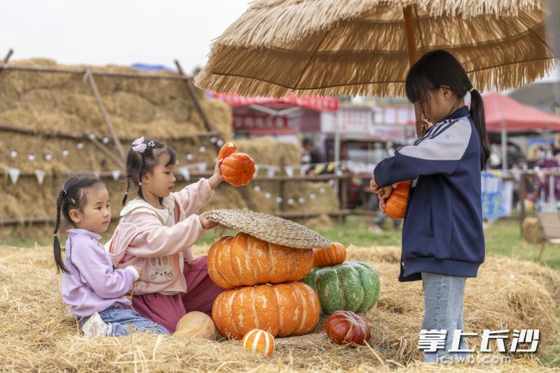 在稻草艺术节现场，孩子们体会不一样的快乐。长沙晚报全媒体记者 周数邑 摄