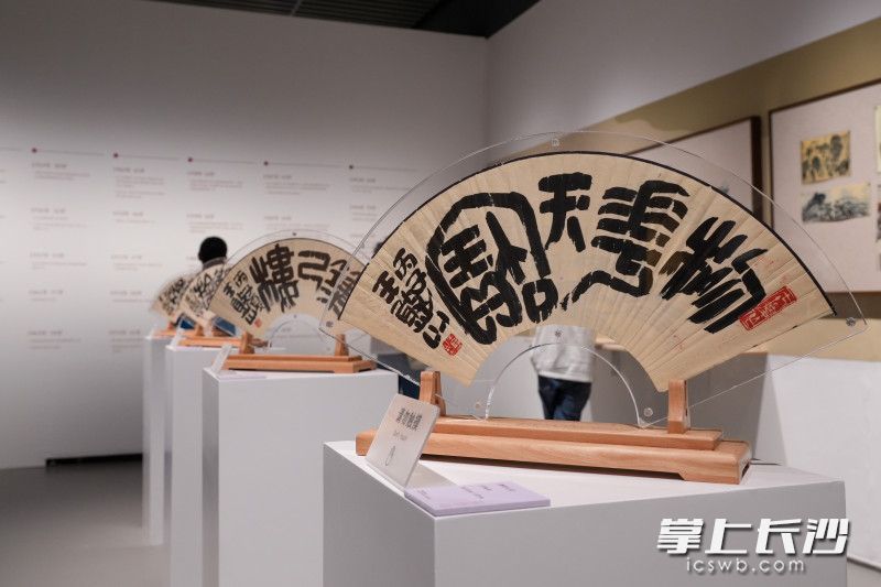 特展集中展出了150余件美术作品与艺术文献，全面梳理和展示王憨山先生的艺术历程和艺术风格。均为长沙晚报全媒体记者 何文瑞 摄
