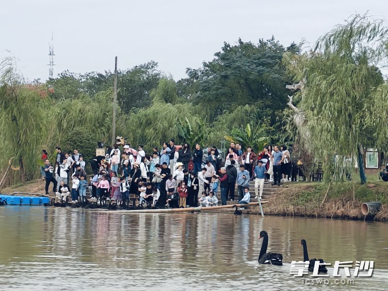 洋沙湖景区的美好生态、特色活动吸引了不少游客。