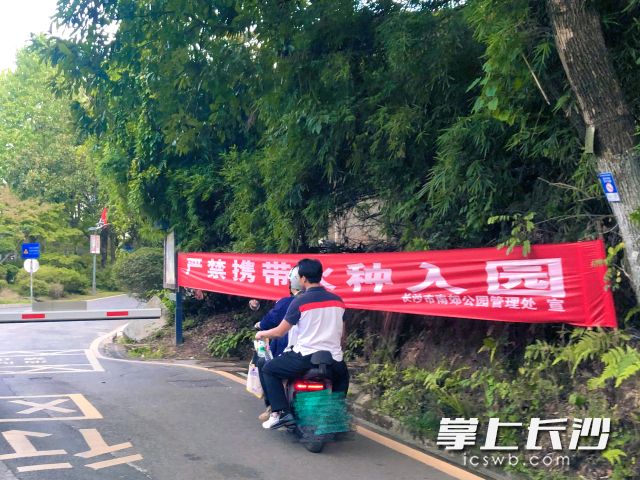 一名男子骑电动车超载行驶，车上仅一人佩戴安全头盔。