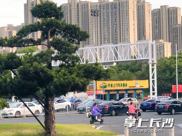 两位女子各骑一辆电动车驶过，均未佩戴安全头盔。均为长沙晚报全媒体记者 舒元臻摄