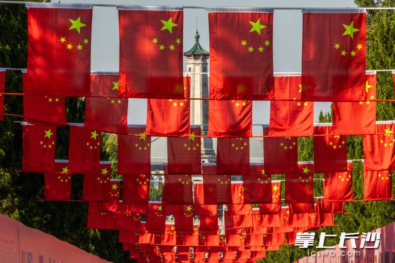 湖南烈士公园南门主步道在国庆节期间挂满五星红旗。均为长沙晚报全媒体记者 董阳 摄