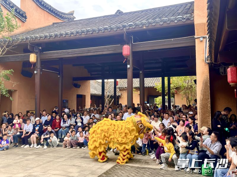 道林古镇舞狮表演。 道林古镇舞狮表演。