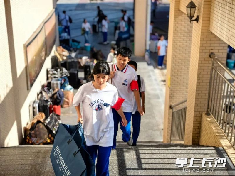 志愿者同学认真参与。