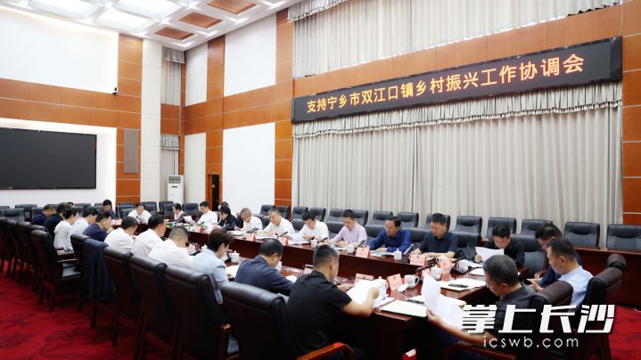 11日，长沙市政协支持双江口镇乡村振兴工作协调会召开。 长沙晚报全媒体记者 盛磊 摄