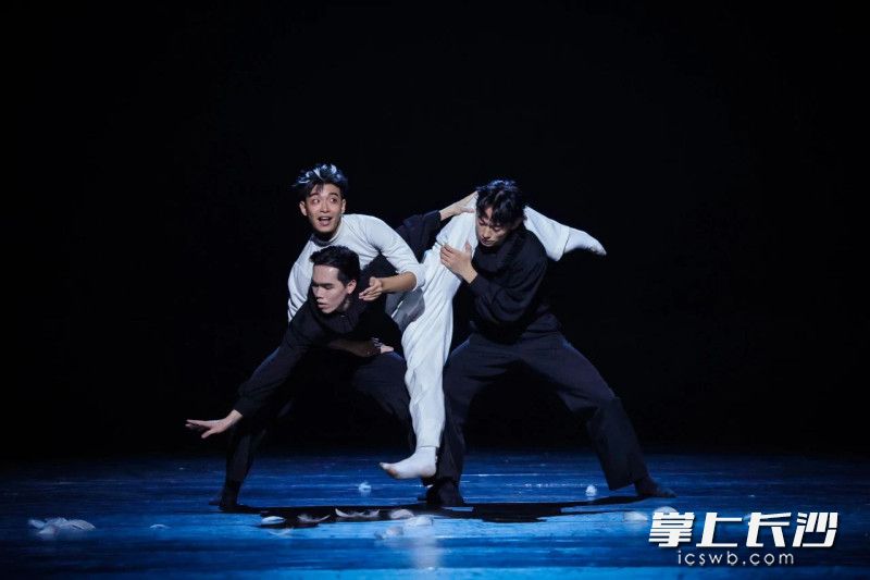 胡沈员、杨康、钟睿主演、的作品《天鹅湖》。