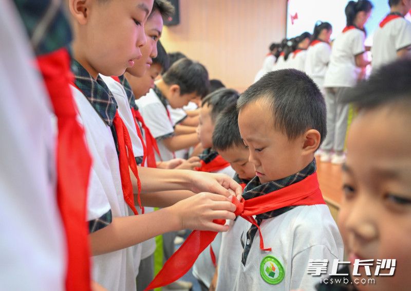 今日上午，开福区新竹第二小学内，高年级的少先队员在入队仪式上为新入队的同学系红领巾。  均为长沙晚报全媒体记者王志伟、通讯员刘艳丽摄