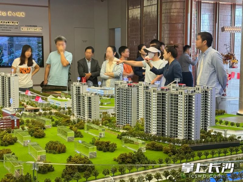 众多新楼盘和老盘芯房源的供应，为消费者提供了更宽的选择面。