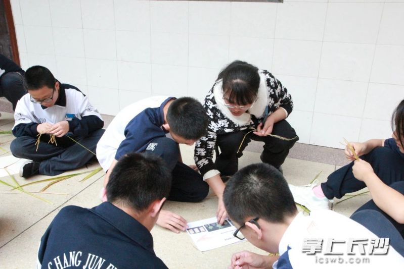 在老师的指导下进行相关研究。