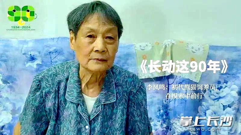 李凤鸣老人在回养自己照料大熊猫的往事。园方供图