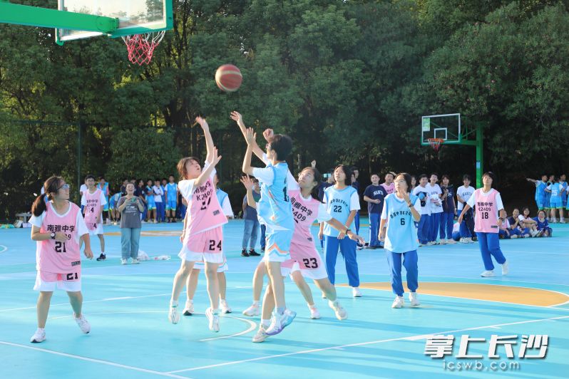 三大球赛将在校园蓬勃展开。