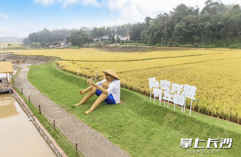 活动当天，开慧镇打造了多项文旅创新场景，为广大群众和游客带来一场多元化文旅盛宴。