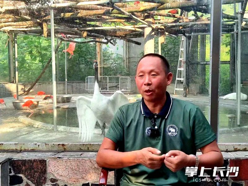 齐子龙。