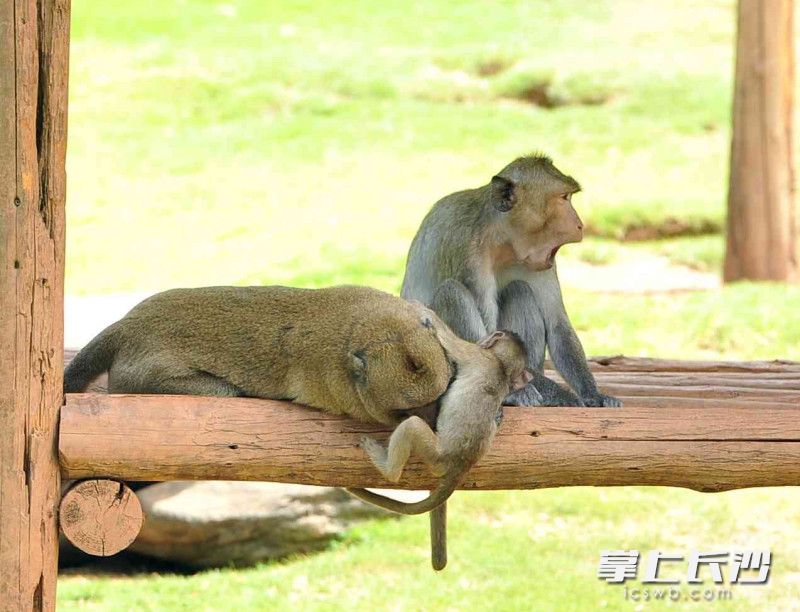 一家三口其乐融融。
