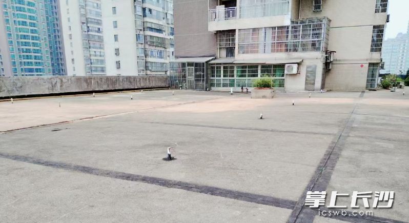 彻底清理之后的楼顶干净敞亮，成为居民们休闲的好去处。
