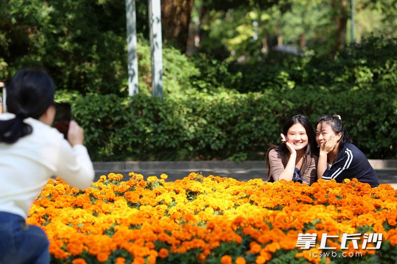 今日，市民纷纷来到湖南烈士公园游园散心、赏景打卡，乐享秋阳的温馨。 均为长沙晚报全媒体记者贺文兵摄