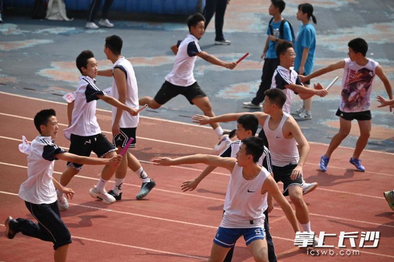 麓山国际实验学校学生们积极参与校园体育文化节，在运动赛场上展现青春风采。均为学校供图