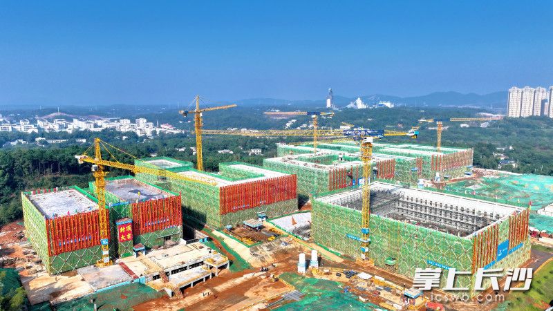 10月31日，长沙市一中（湘江科学城校区）全面封顶。    长沙晚报通讯员 徐坤 供图