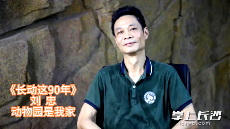 刘忠。均为园方供图
