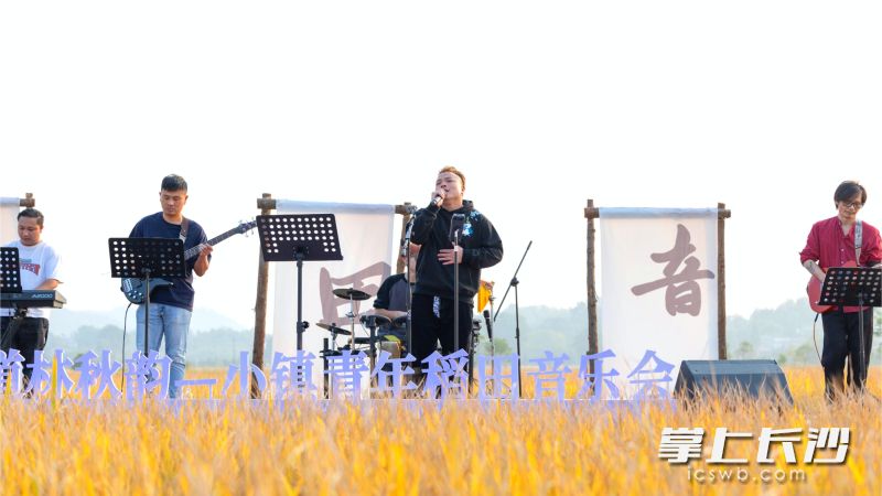 “道林秋韵-小镇青年稻田音乐会”在千年古镇宁乡市道林镇举办，为八方来客带来了一场集自然、艺术、农文旅于一体的乡村嘉年华。均为长沙晚报全媒体记者 张禹 通讯员 唐柏林 摄影报道