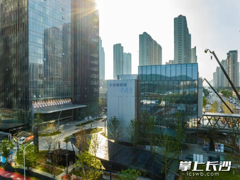 长沙梅溪湖·丰茂里正在火热招商。均为长沙晚报通讯员 李明洋 供图